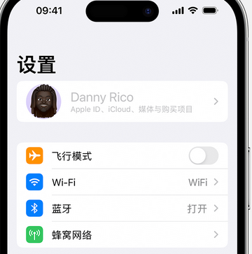 和县appleID维修服务iPhone设置中Apple ID显示为灰色无法使用