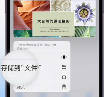 和县apple维修中心分享iPhone文件应用中存储和找到下载文件