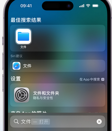 和县apple维修中心分享iPhone文件应用中存储和找到下载文件 