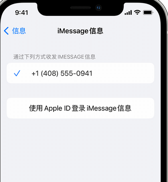 和县apple维修iPhone上无法正常发送iMessage信息 