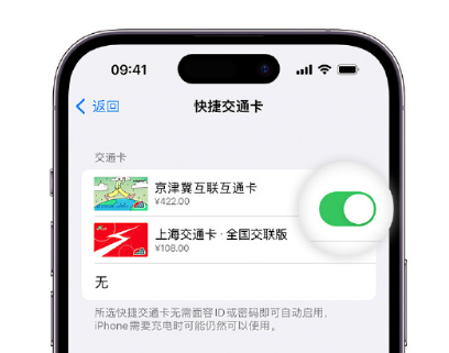 和县apple维修点分享iPhone上更换Apple Pay快捷交通卡手绘卡面 