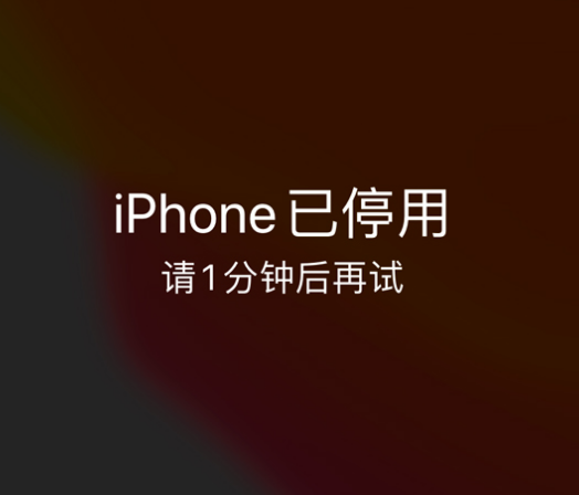 和县苹果手机维修分享:iPhone 显示“不可用”或“已停用”怎么办？还能保留数据吗？ 