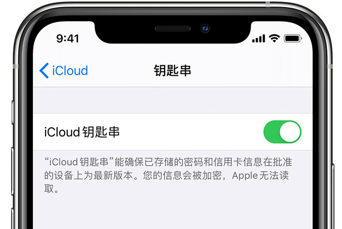 和县苹果手机维修分享在 iPhone 上开启 iCloud 钥匙串之后会储存哪些信息 