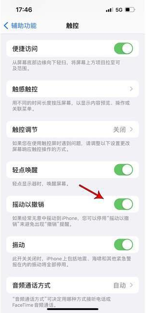 和县苹果手机维修分享iPhone手机如何设置摇一摇删除文字 