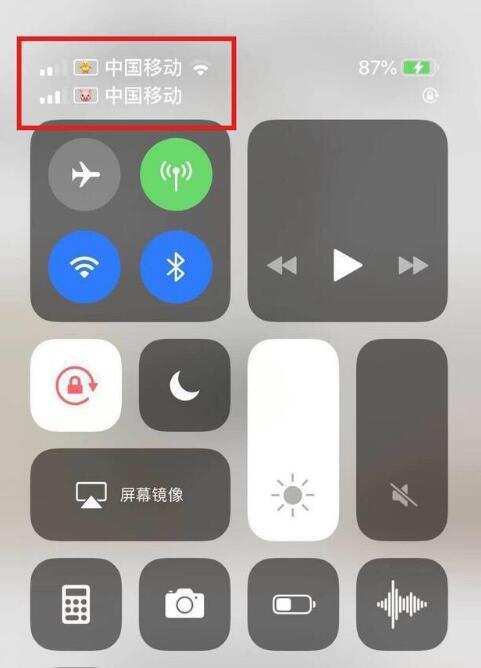 和县苹果手机维修分享为 iPhone 12 双卡设置标签 