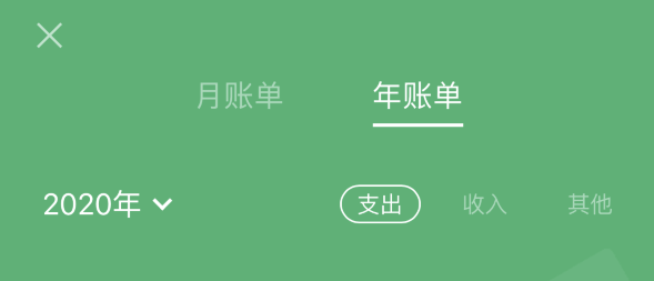 和县苹果手机维修分享如何在 iPhone 上查看支付宝和微信年支出账单 